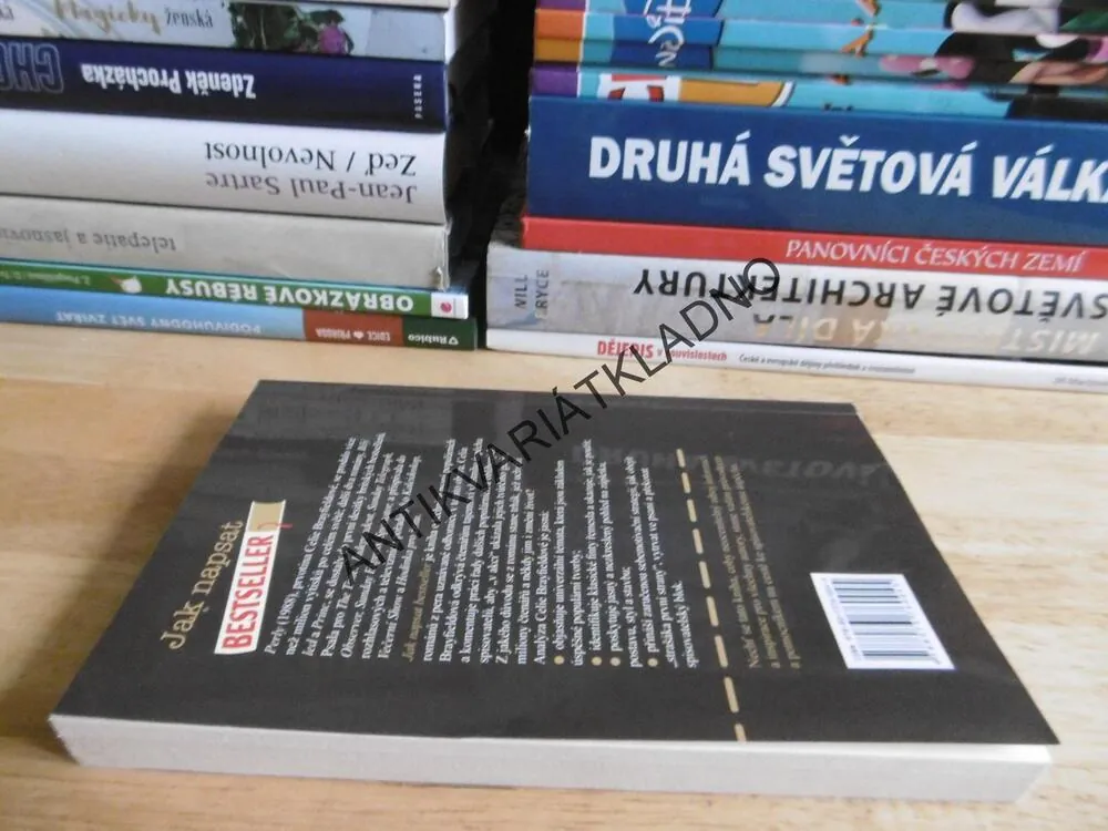 JAK NAPSAT BESTSELLER, TAJEMSTVÍ ÚSPĚŠNÉHO PSANÍ, CELIA BRAYFIELDOVÁ