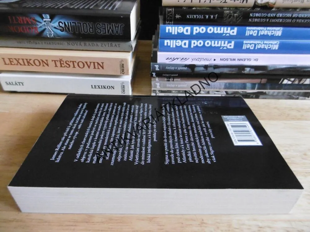 LABYRINT Z KOSTÍ, JAMES ROLLINS, **an