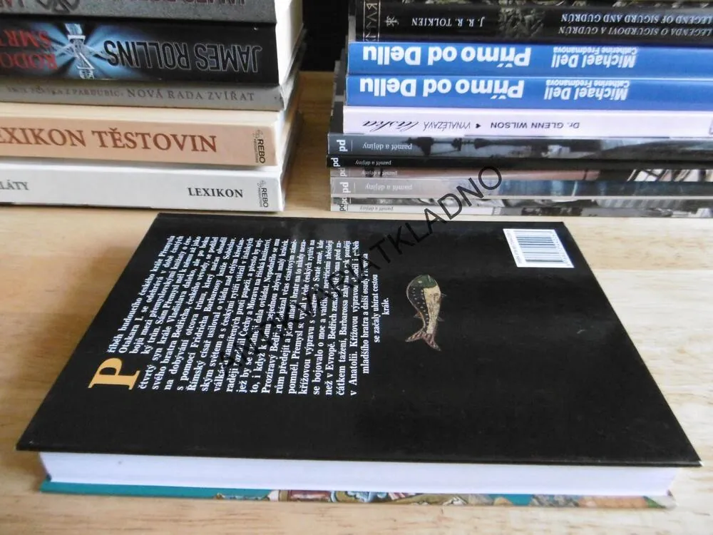 PŘÍBĚH MLADŠÍHO BRATRA, LUDMILA VAŇKOVÁ, **an