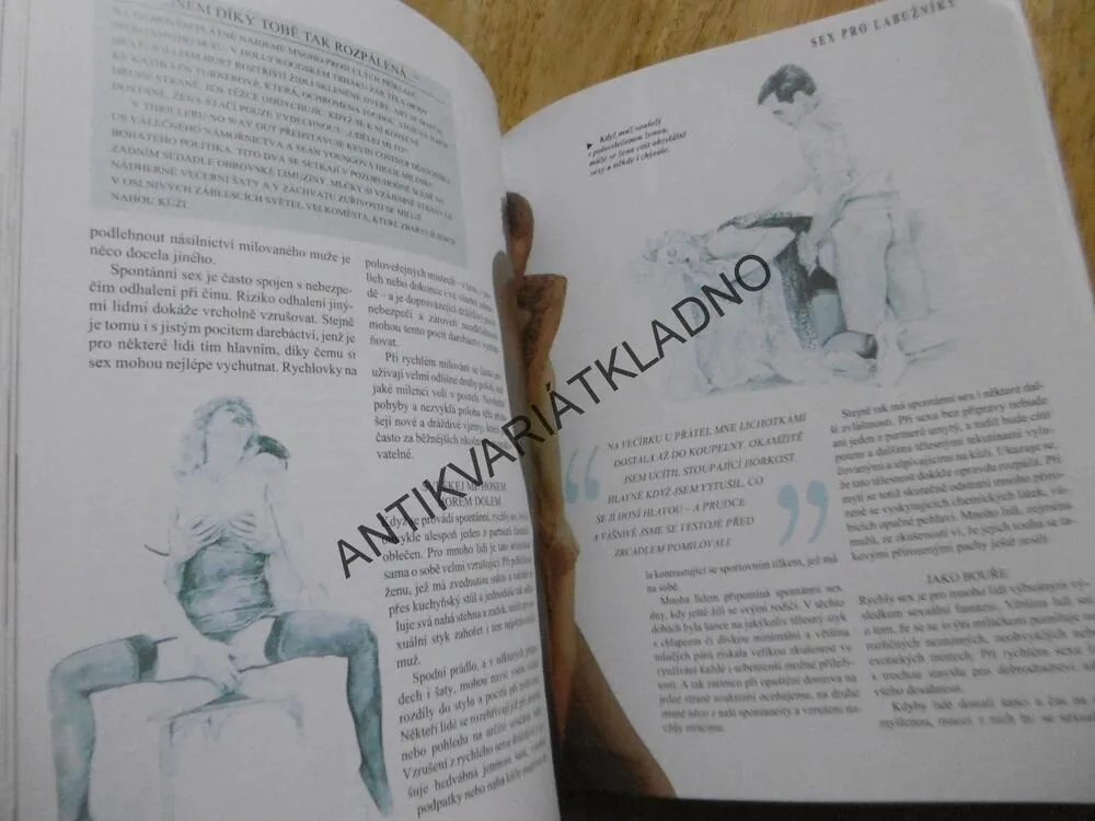 VYNALEZÁVÁ LÁSKA, STRHUJÍCÍ PRŮVODCE UMĚNÍM MILOVAT, DR. GLENN WILSON, **an