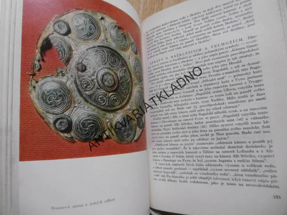 VIKINGOVÉ SÁGA TŘÍ STALETÍ, JOHANNES BRONDSTED, **an