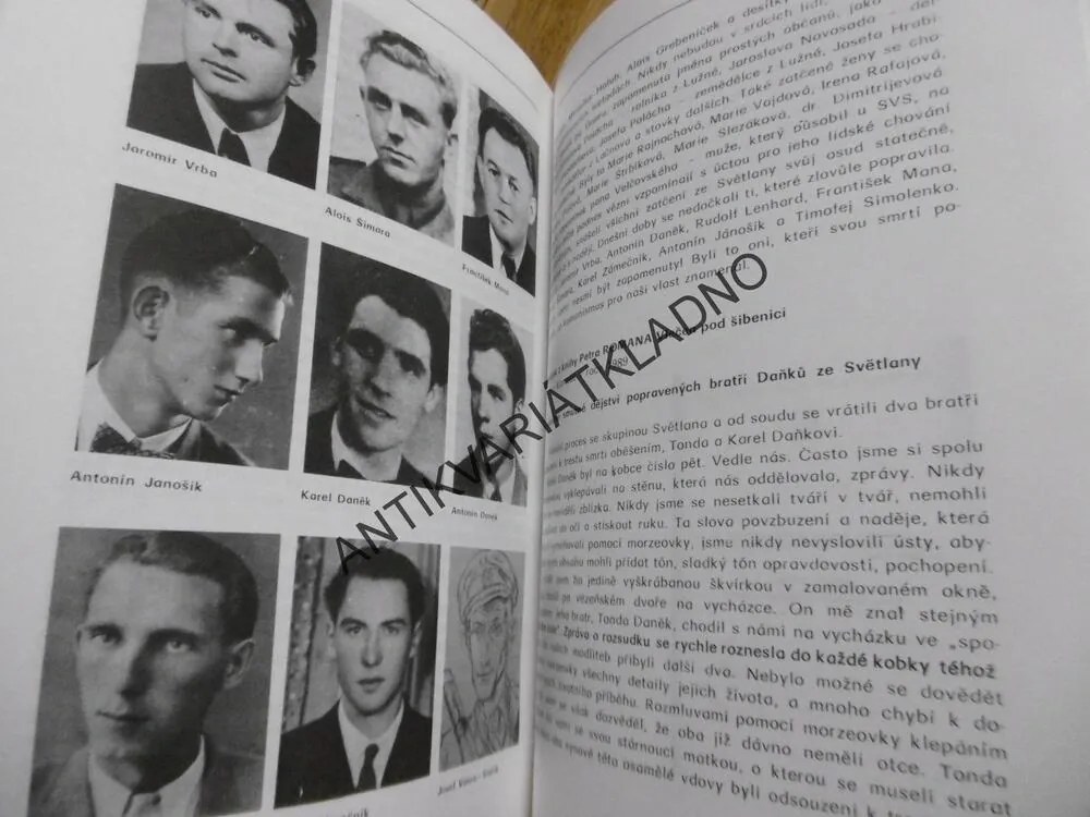 NESMIŘITELNÍ, HORY HOSTÝNSKÉ, JAROSLAV POSPÍŠIL, **an
