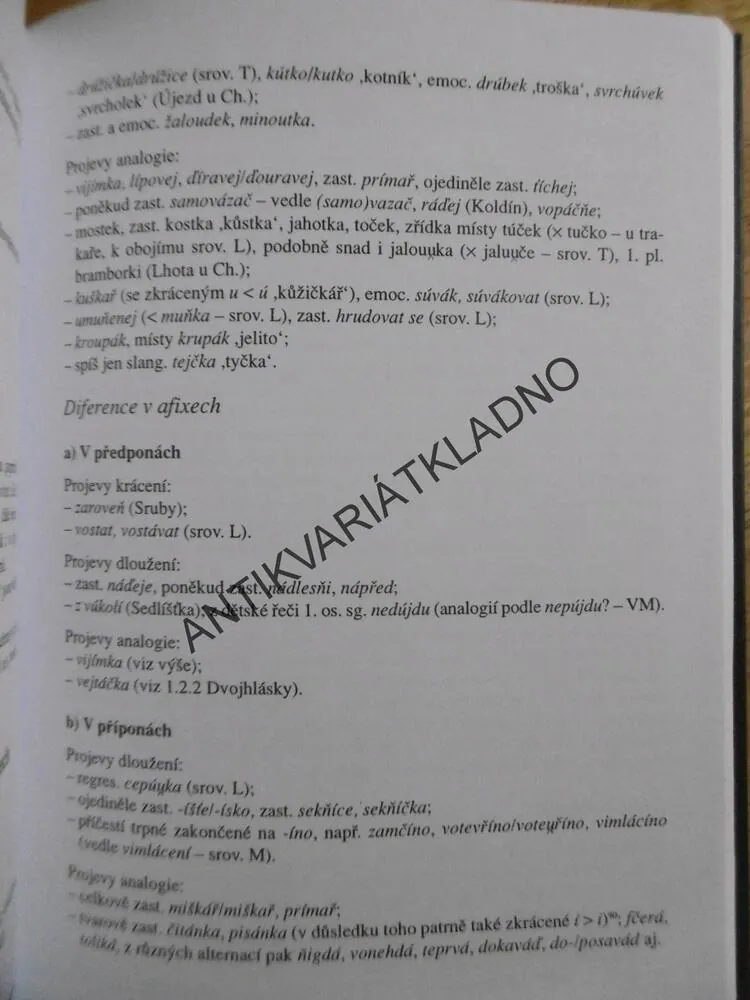 NÁŘEČÍ NA VYSOKOMÝTSKU, LUDĚK BACHMAN