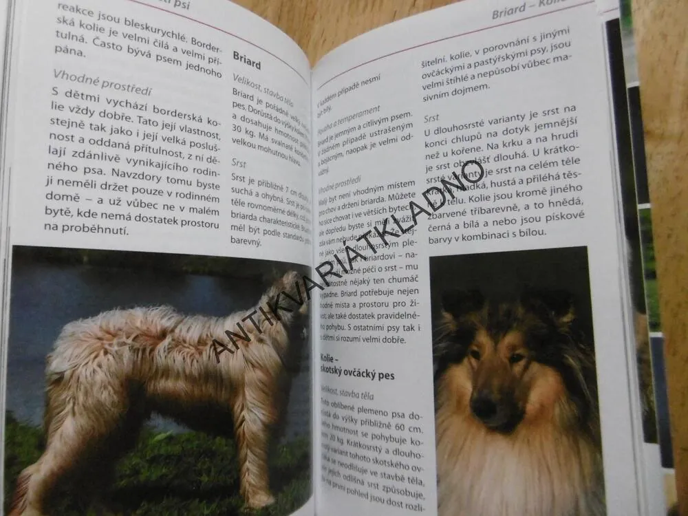 PSI, POZNÁVÁME A URČUJEME, **an