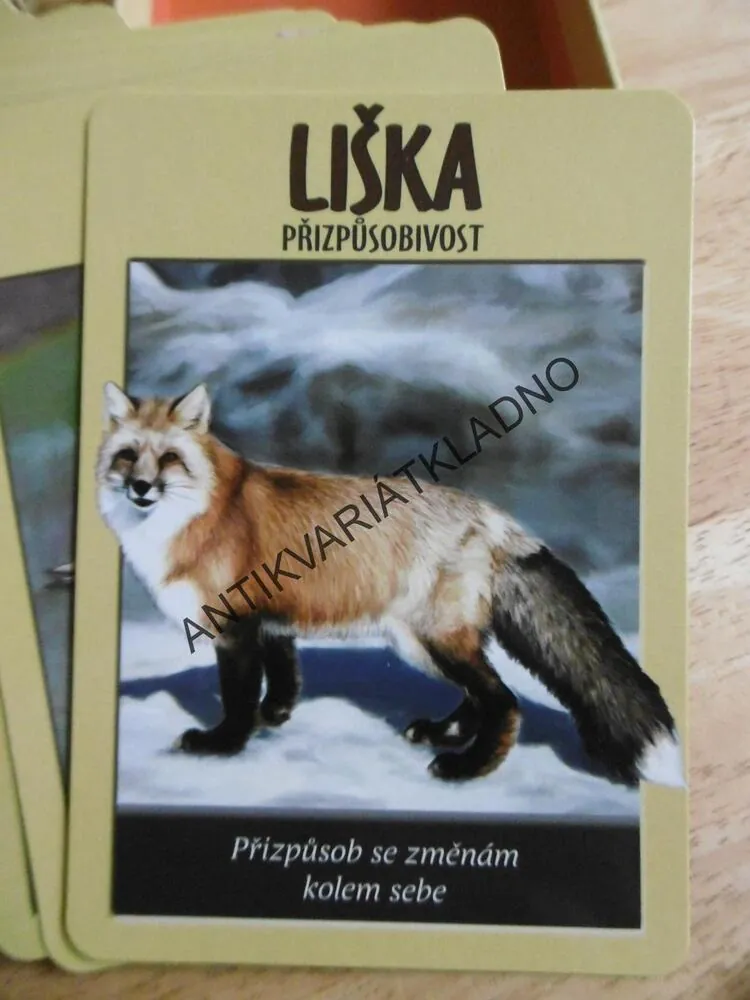 SÍLA ZVÍŘAT, KNIHA + 44 KARET, STEVEN D. FARMER, 