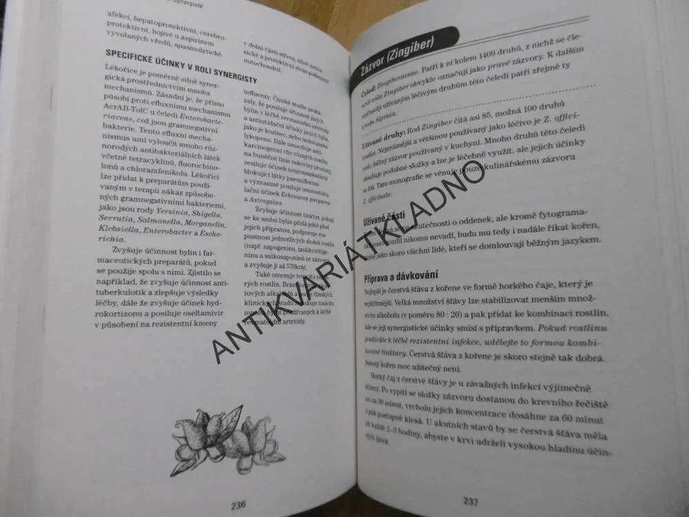 PŘÍRODNÍ ANTIBIOTIKA, STEPHEN HARROD BUHNER, ALTERNATIVNÍ ZPŮSOB LÉČBY, **an
