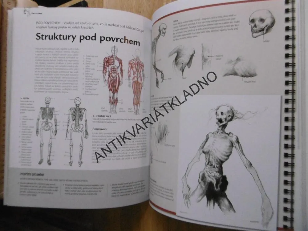 NAUČTE SE KRESLIT FANTASY 2., SOCAR MYLESOVÁ, **an