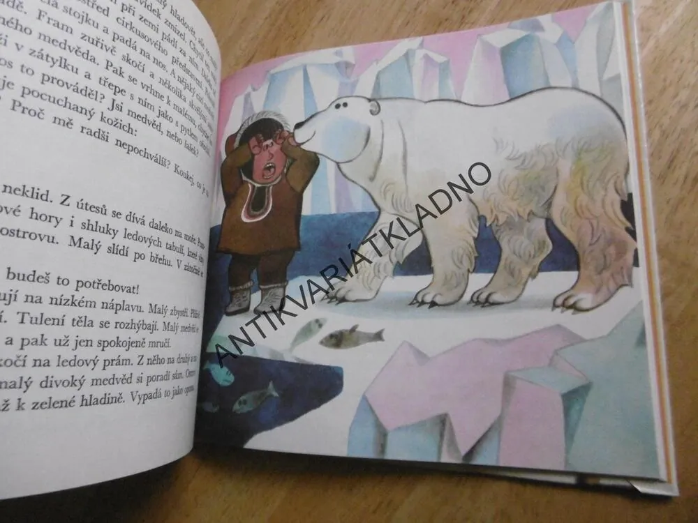 LEDNÍ MEDVĚD, CEZAR PETRESCU, **an