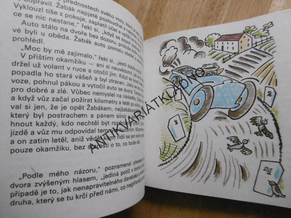 ŽABÁKOVA DOBRODRUŽSTVÍ,KENNETH GRAHAME, **an