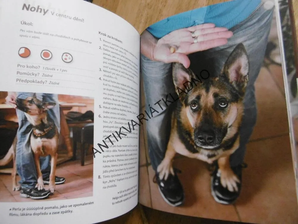 HRY SE PSEM NA DOMA, DUŠEVNÍ GYMNASTIKA, TRIKY A HRY, ANJA JAKOBOVÁ, **an