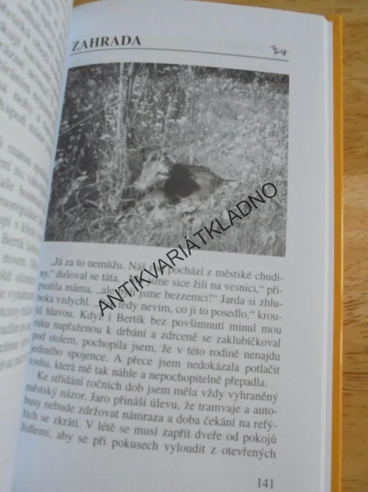 PES V POSTELI, JEZEVČÍK, M. MOUČKOVÁ, **an