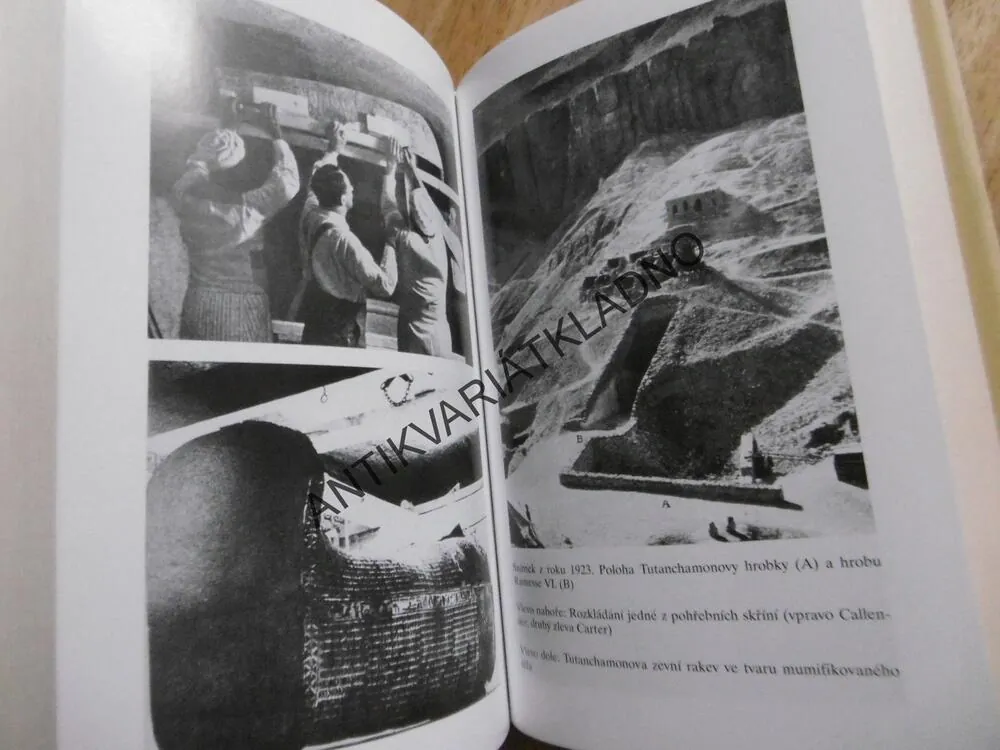 ZAPOMENUTÝ FARAON, AKCE TUTANCHAMON, PHILIPP VANDENBERG, **an