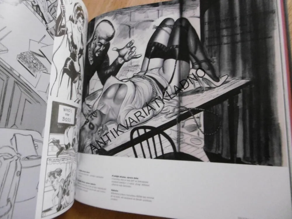 EROTICKÝ KOMIKS, TIM PILCHER, **an