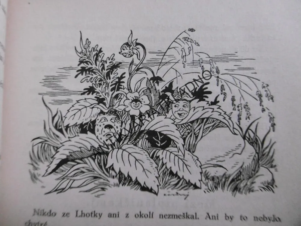 POCTIVÝ ZÁPAS, A. FLEISCHROVÁ,PAVEL ČERNÝ, **an