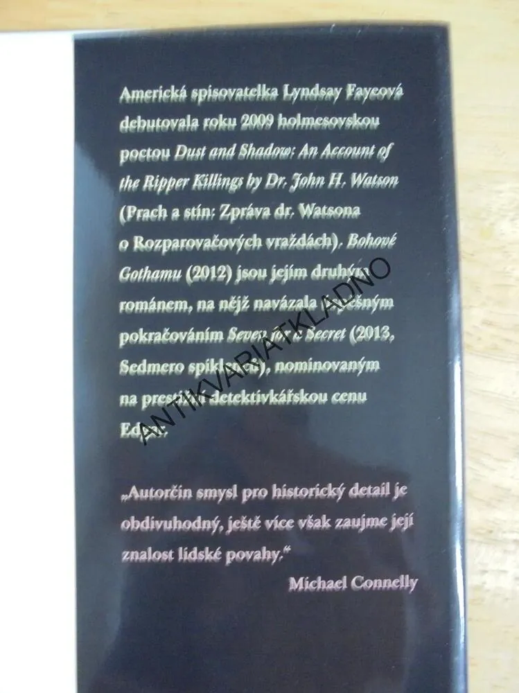 BOHOVÉ GOTHAMU, LYNDSAY FAYEOVÁ, DETEKTIVKA FLYNNOVÁ, **an