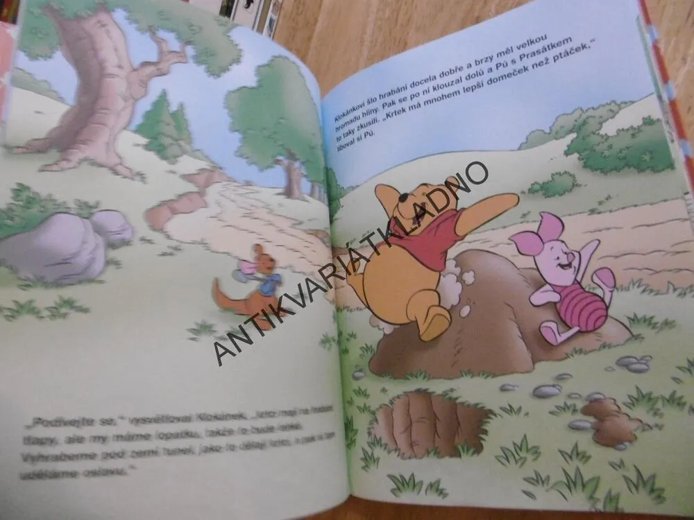 VŠUDE DOBŘE, DOMA NEJLÉPE, MEDVÍDEK PÚ, WALT DISNEY, **an