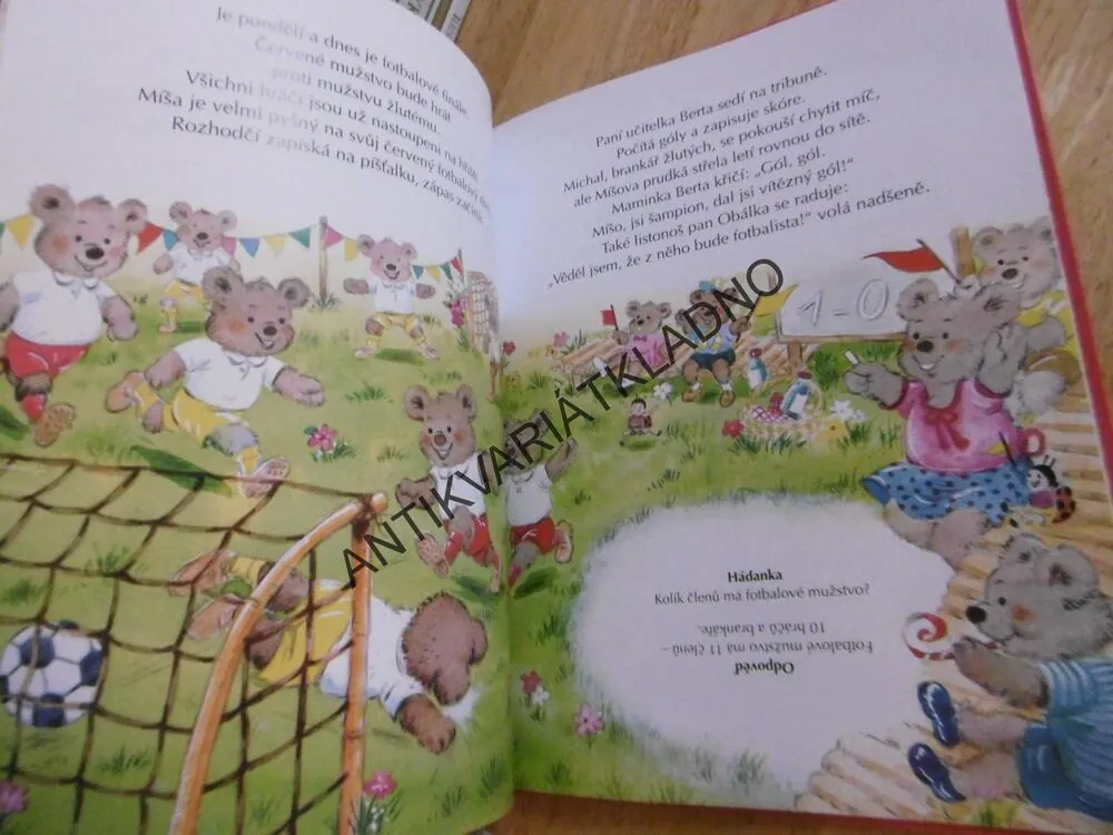 MEDVÍDCI JDOU DO ŠKOLY A JINÉ PŘÍBĚHY, **an