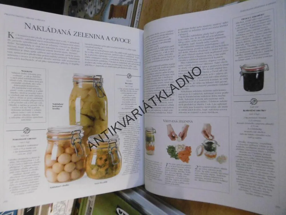 ENCYKLOPEDIE KOŘENÍ, BYLINEK A POCHUTIN, E.L. ORTIZOVÁ, **an