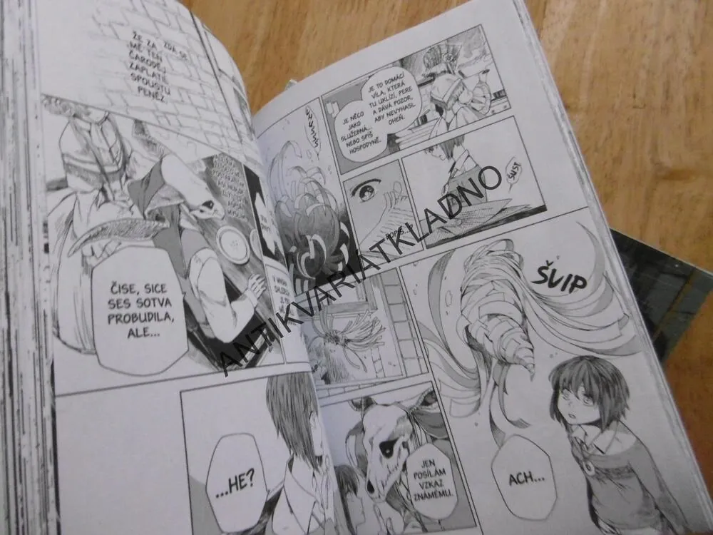 ČARODĚJOVA NEDVĚSTA, 1-4., MANGA KOMIKS, **an