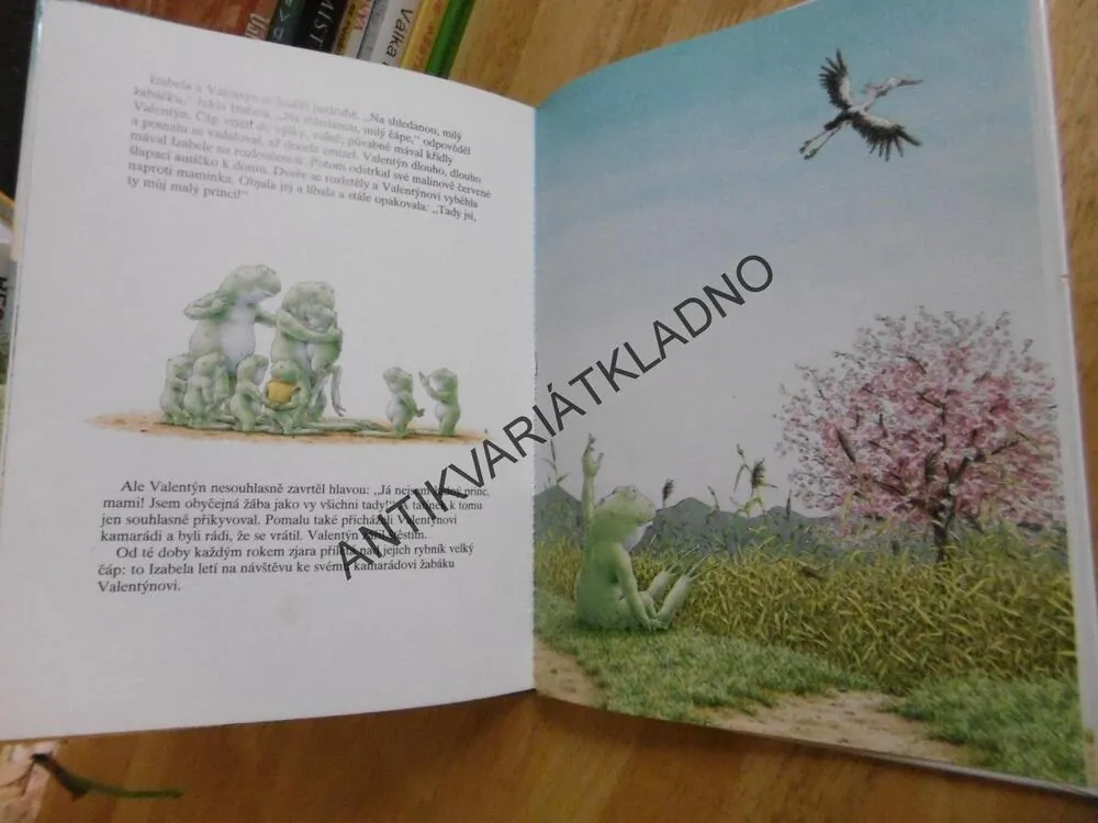 ŽABÁK VALENTÝN A MALINOVĚ ČERVENÉ AUTÍČKO,HANS DE BEER **an