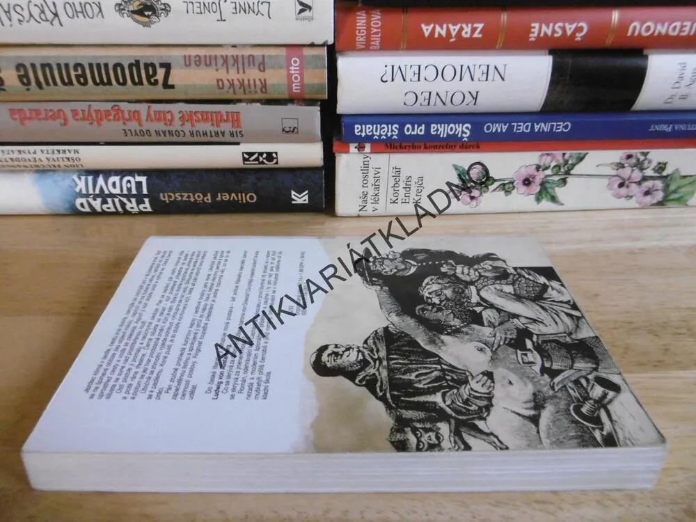 CESTA RŮŽOVÝCH KURÝRŮ, MAXI MARYSKO, **an