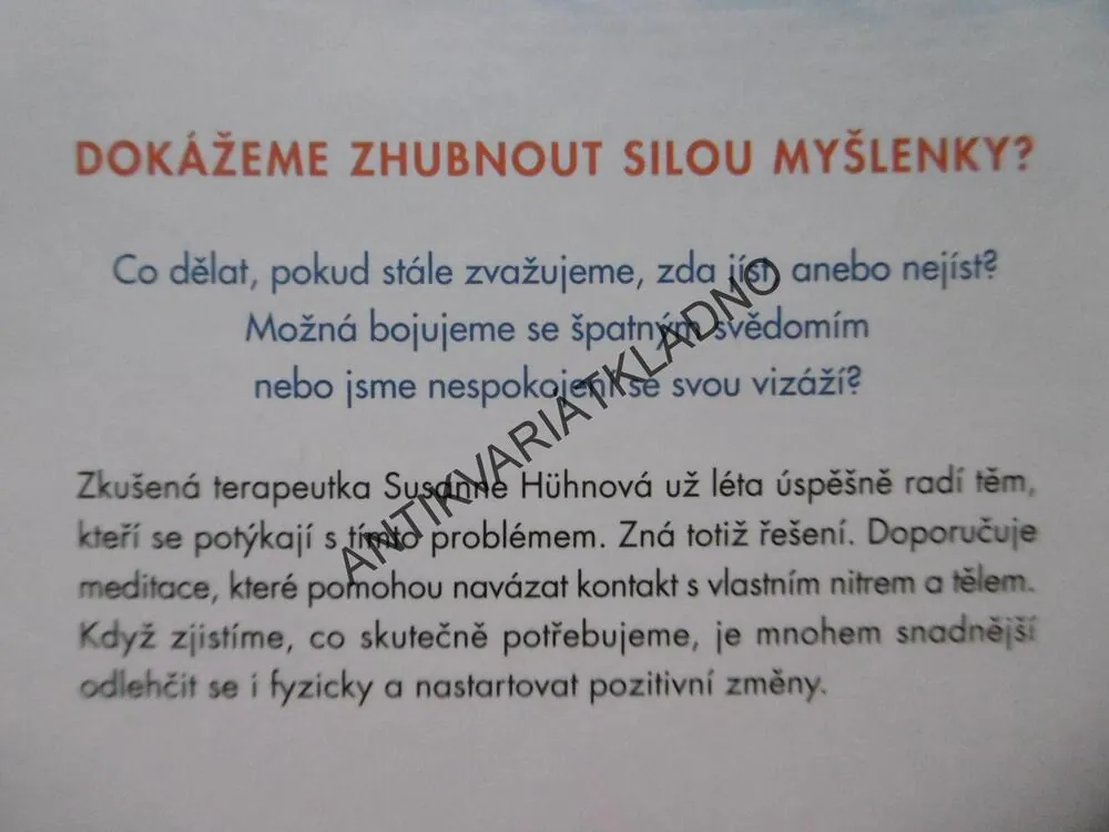 MEDITACÍ K IDEÁLNÍ VÁZE, SUSANNĚ HÜHNOVÁ, **an