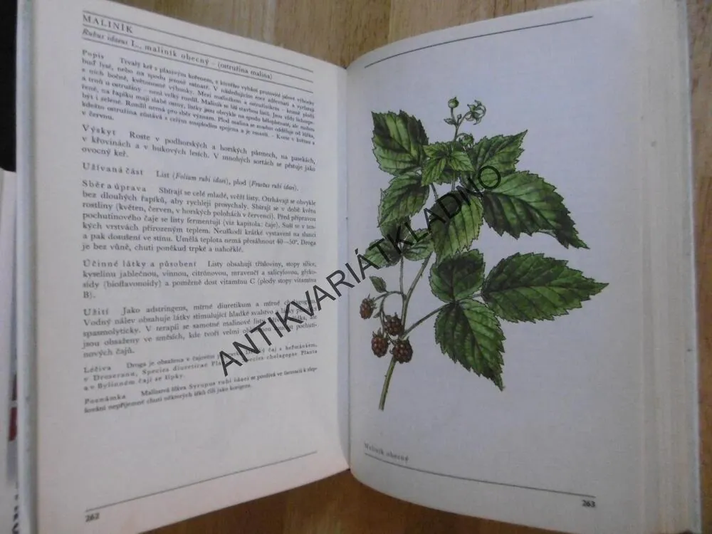 NAŠE ROSTLINY V LÉKAŘSTVÍ, KORBELÁŘ, ENDRIS, KREJČA, **an