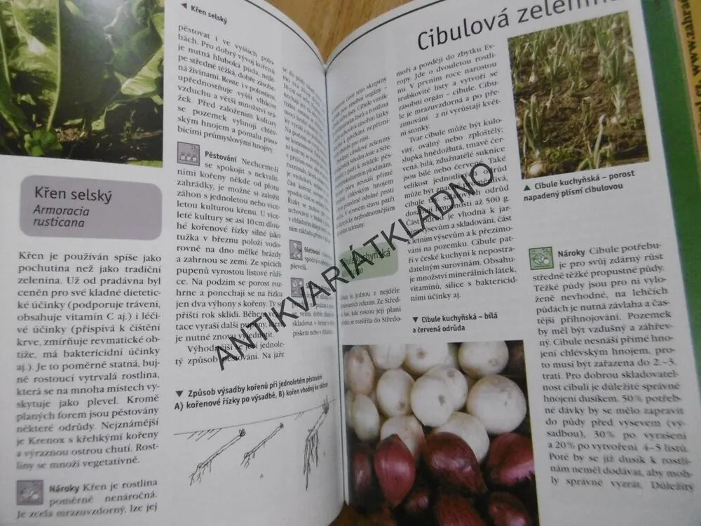 ZELENINA Z VLASTNÍ ZAHRADY, KŘESADLOVÁ, VILÍM, **an