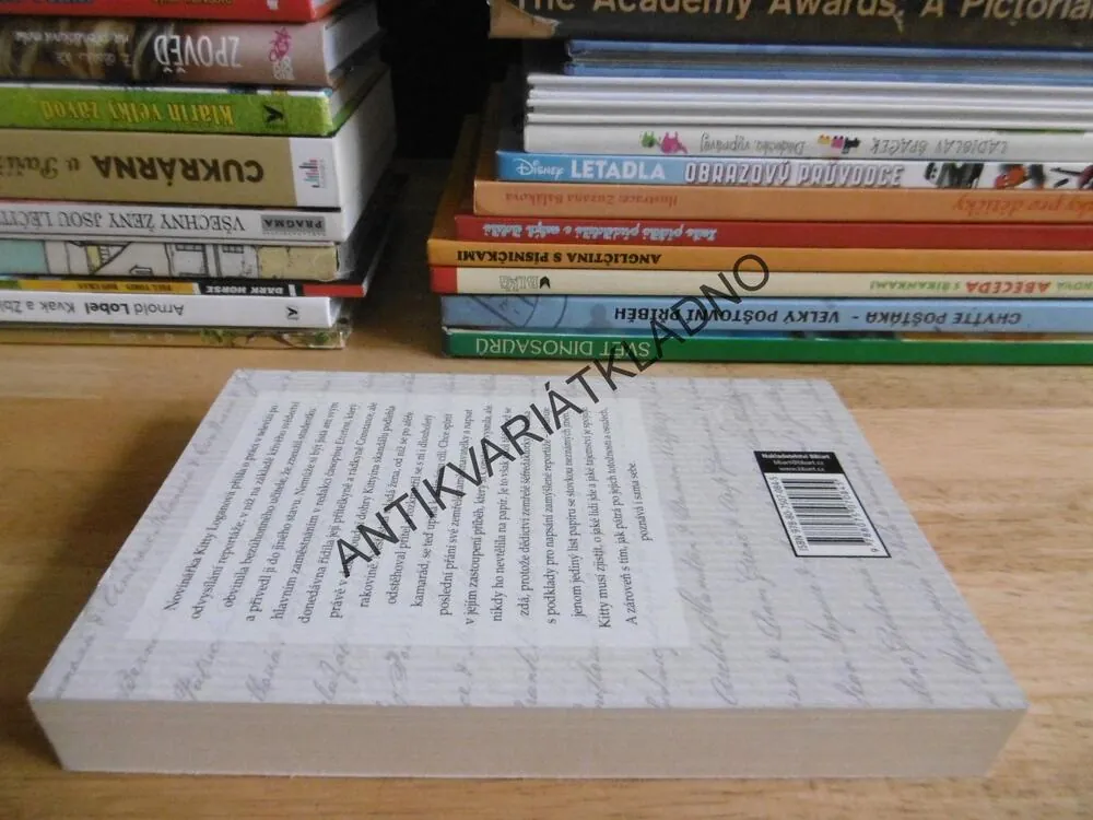 STO JMEN, CECELIA AHERNOVÁ, **an