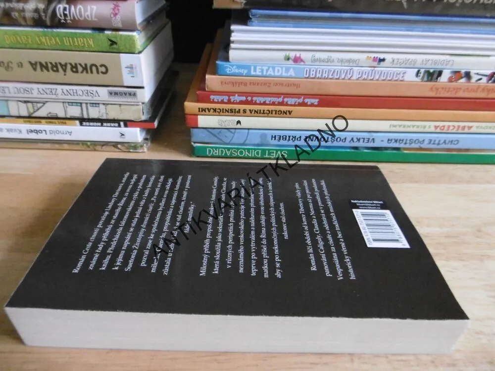 CESTA CTNOSTI, LINDSEY DAVISOVÁ, **an