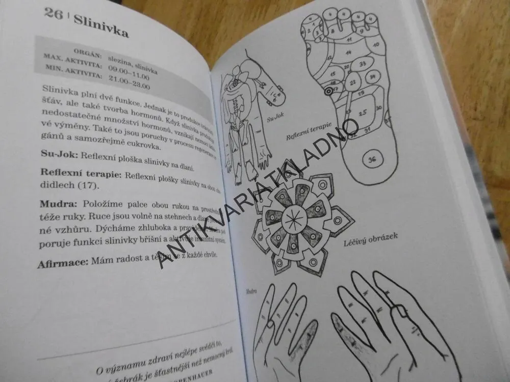 LÉČIVÉ DOTYKY, 4 TERAPIE PRO KAŽDÝ DEN, JOSEF SCHRÖTTER, **an