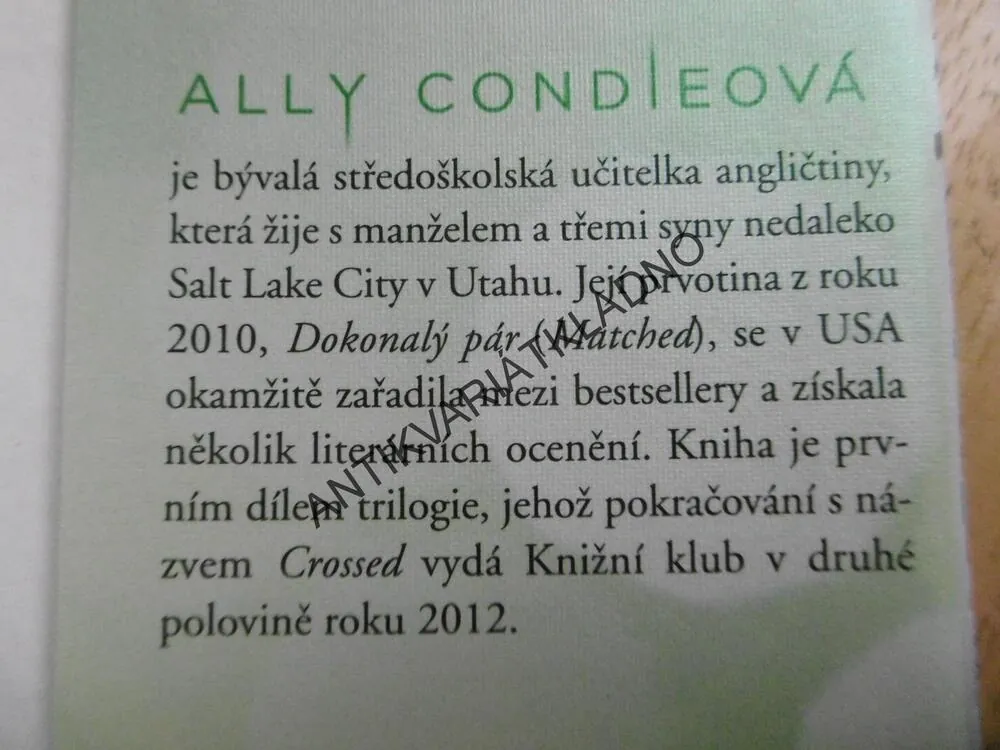 DOKONALÝ PÁR, ALLY CONDIEOVÁ, **an