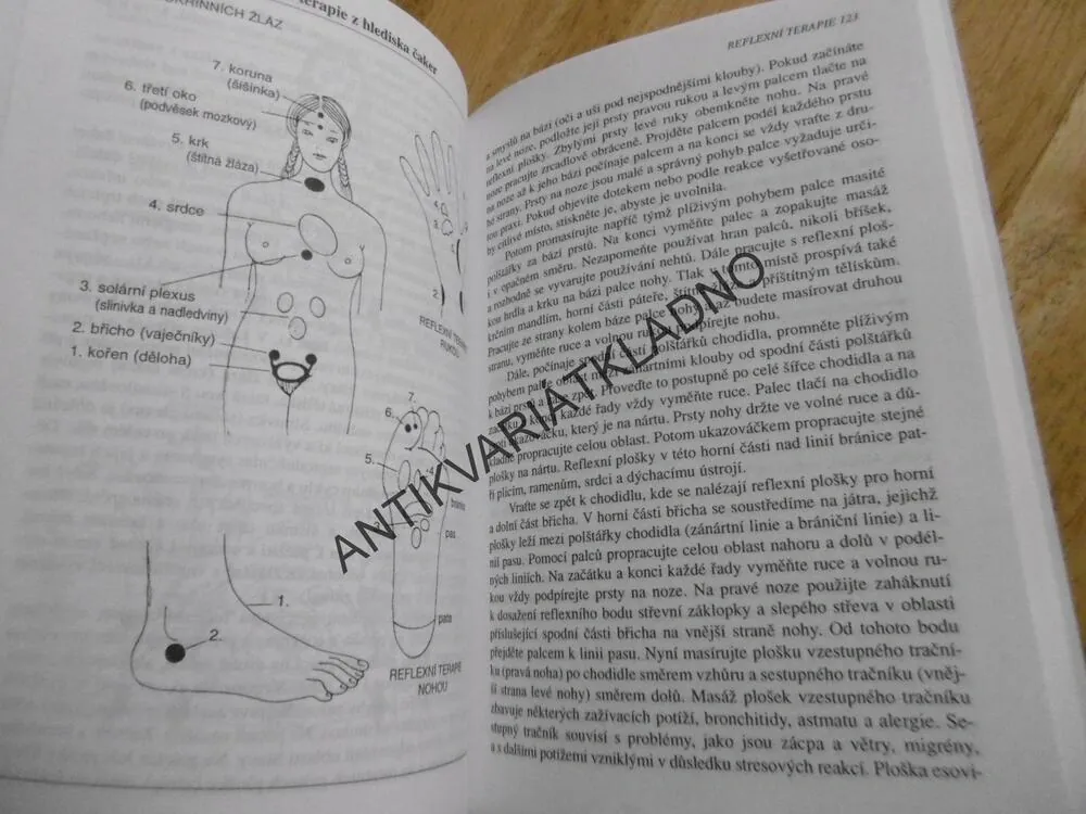 VŠECHNY ŽENY JSOU LÉČITELKY, DIANE STEIN, LÉČITELSTVÍ, **an
