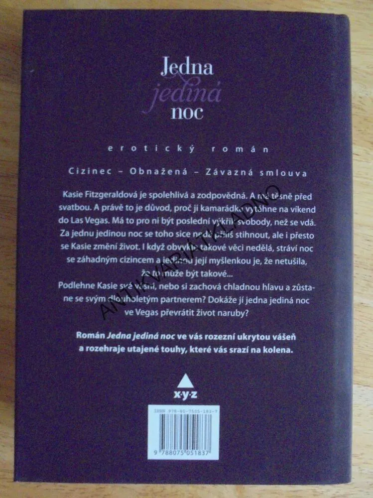 JEDNA JEDINÁ NOC,KYRA DAVISOVÁ, EROTIKA