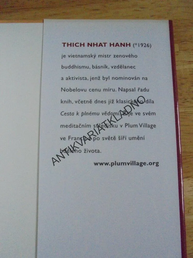 UMĚNÍ SDÍLET, THICH NHAT HAHN
