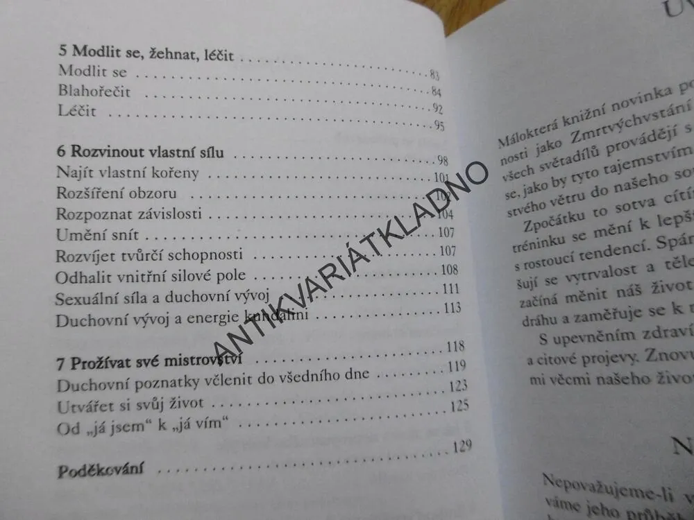 ENERGETICKÝ PROGRAM PĚTI TIBEŤANŮ, PĚT TIBEŤANŮ, BRIGITTE GILLESSEN, **an