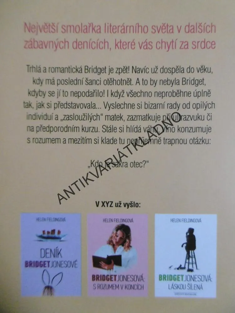 DÍTĚ BRIDGET JONESOVÉ, DENÍKY, DENÍK BRIDGET JONESOVÉ, HELEN FIELDINGOVÁ, **an