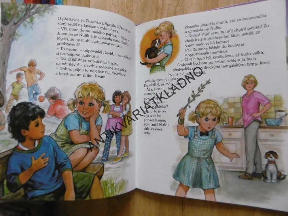 ZUZANKA NA KOLEČKOVÝCH BRUSLÍCH, **an