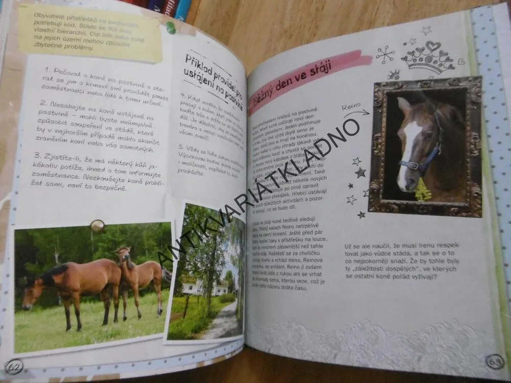 VE STÁJI, TINA VAINIKAINEN, **an