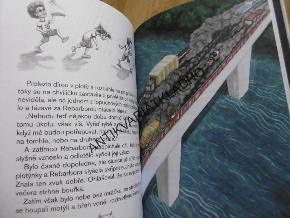 KAM ZMIZELA REBARBORA? IVA PROCHÁZKOVÁ, **an