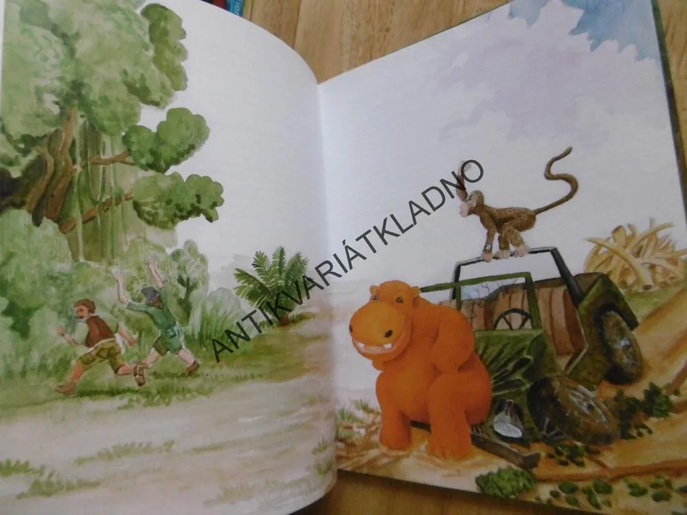 SLUNEČNÍ HROCH ORANŽOCH, MIROSLAV ADAMEC, **an