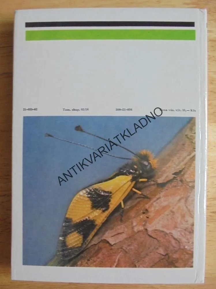 OHROŽENÝ SVĚT HMYZU, IVO NOVÁK, HMYZ, **an
