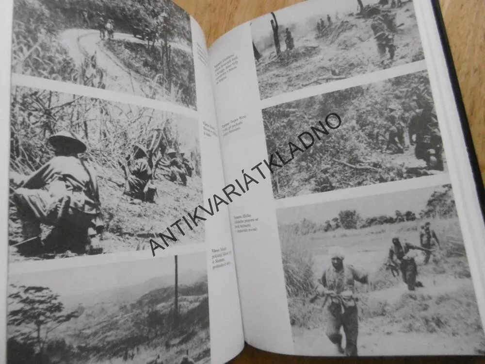 VÍTĚZSTVÍ V BARMĚ, DAVID ROONEY, **an