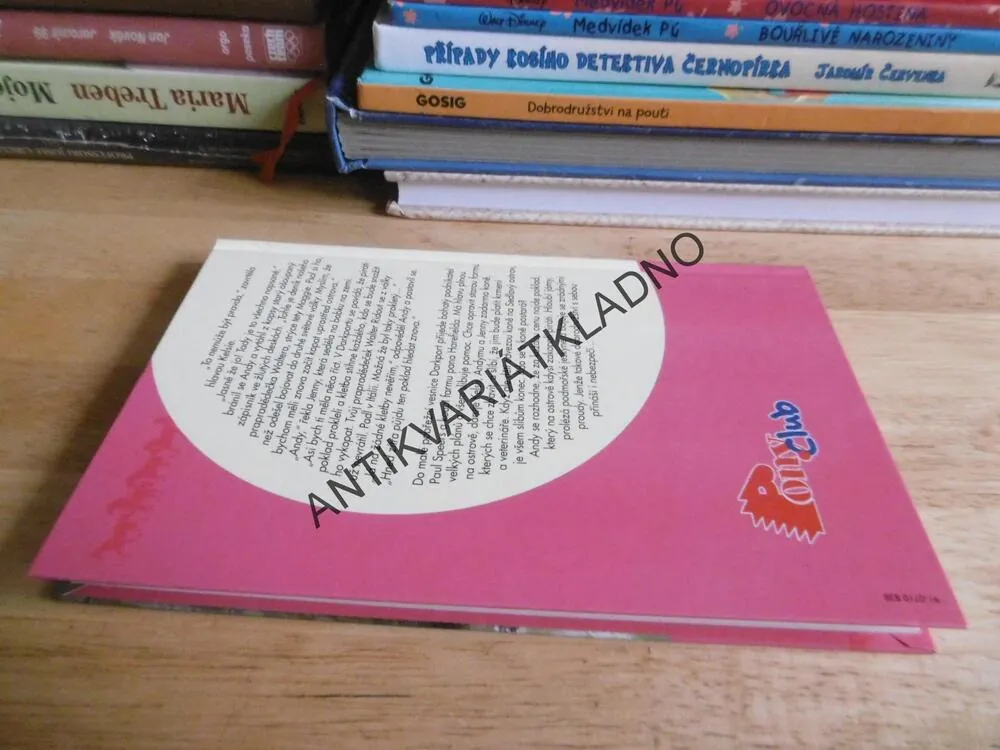 TAJEMSTVÍ V PÍSKU, SHARON SIAMON, **an