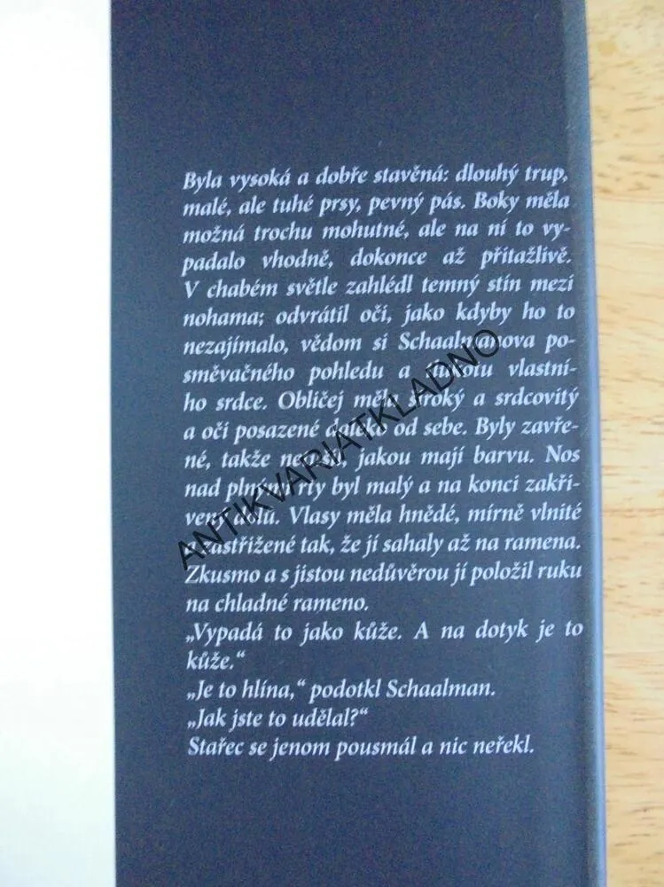 GOLEMA A DŽIN V NEW YORKU, HELENE WECKEROVÁ, **an