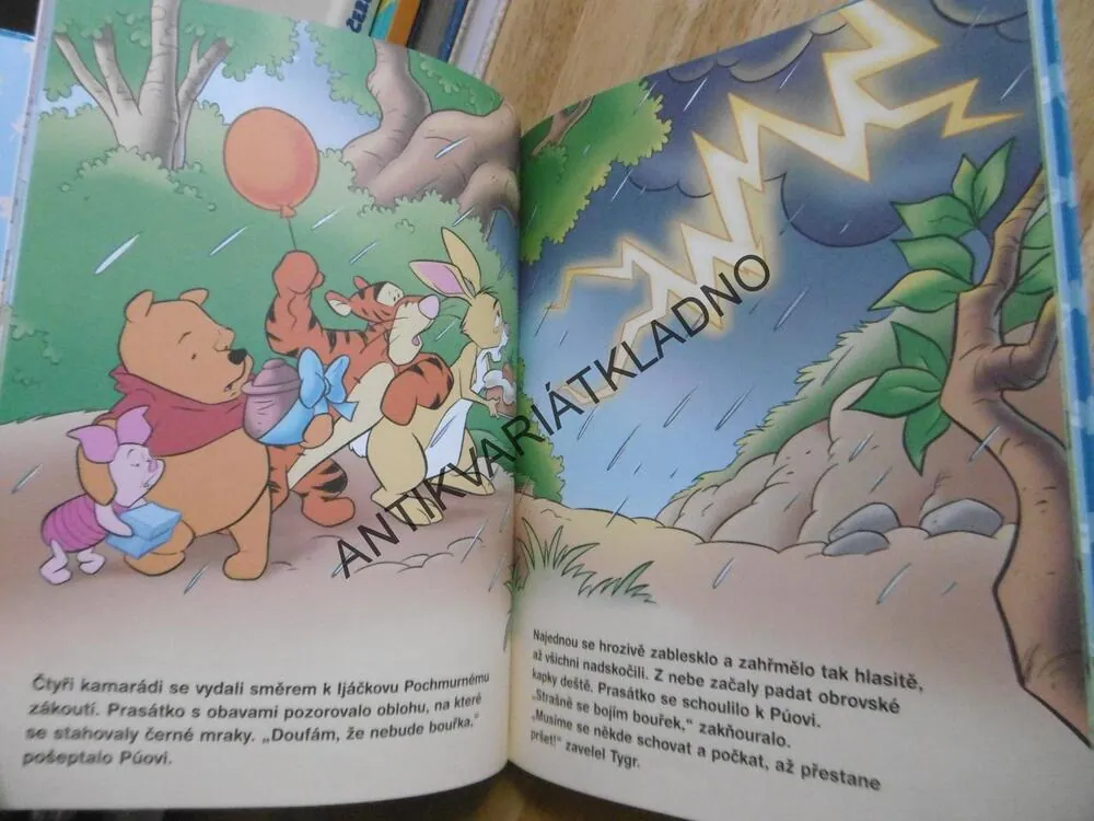 MEDVÍDEK PÚ, BOUŘLIVÉ NAROZENINY, WALT DISNEY, **an
