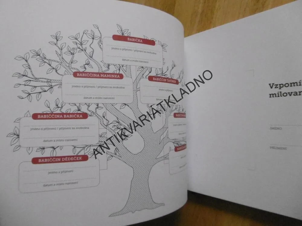 BABIČKO VYPRÁVĚJ, KNIHA PRO UCHOVÁNÍ VZPOMÍNEK, ALBUM, **an
