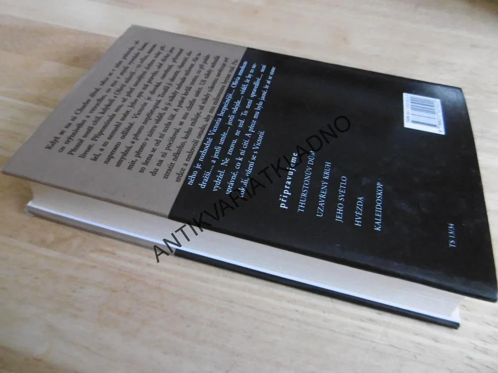 ZRCADLOVÝ OBRAZ, DANIELLE STEEL, **an