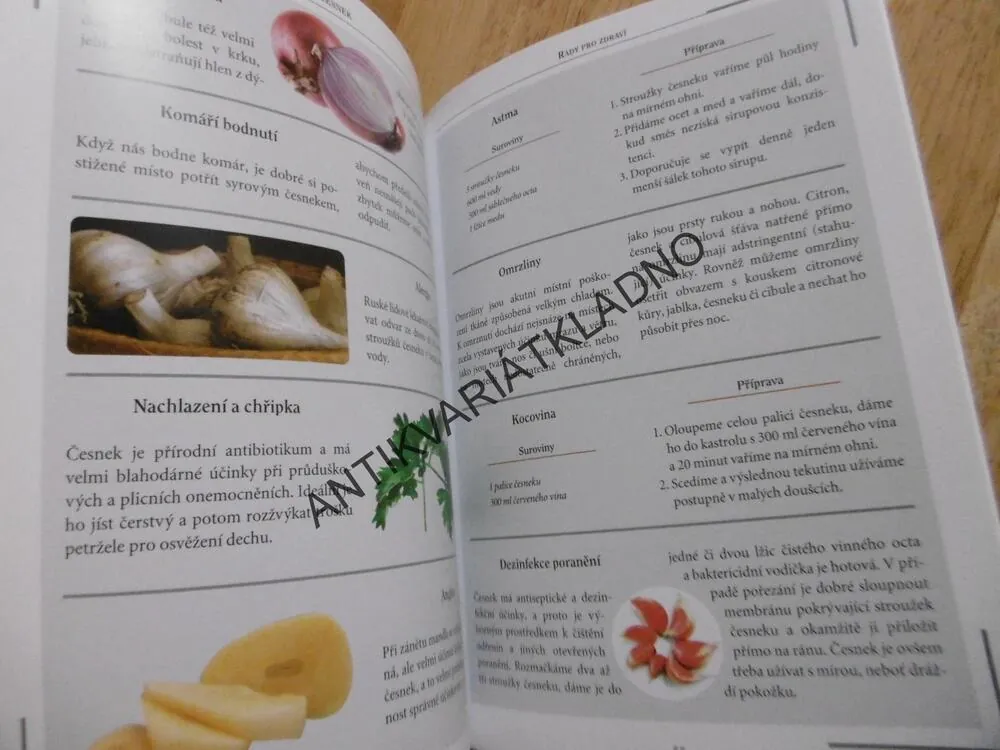ČESNEK, JAK NA TO, **an