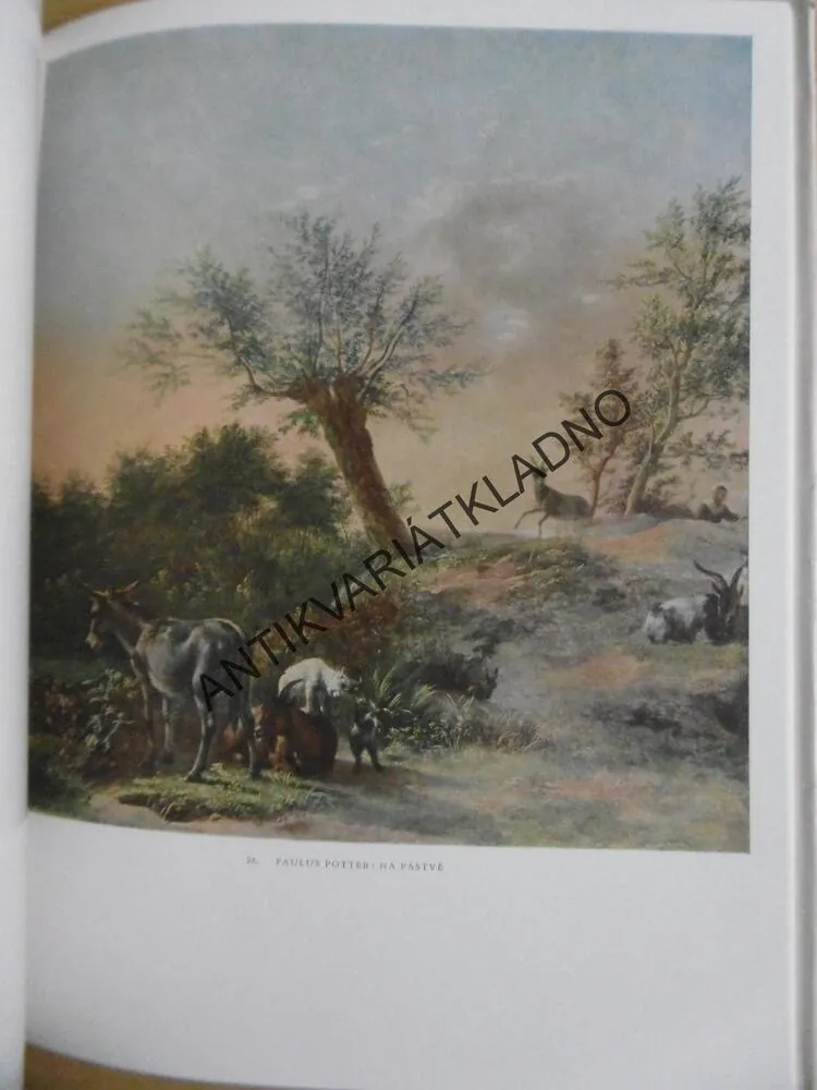 MISTŘI HOLANDSKÉ MALBY XVII.,  **an